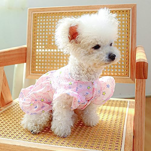 Disfraz para perro vestido para fiesta tamaño XL miniatura 7