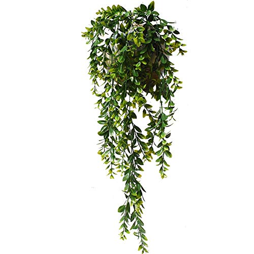ikasus Lierre Artificielle Plantes Guirlande Vigne Fausse Plantes Tombante Longue Fausse Plante Grimpante Faux Plantes dintérieur Cover