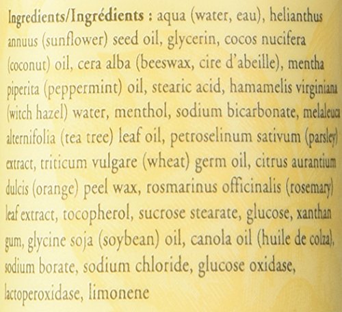 Burts Bees Peppermint Footlotion, 100 Ml #TOP3