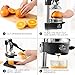 Zulay Kitchen Cast-Iron Orange Juice Squeezer - Easy-to-Clean, Heavy-Duty, Professional Citrus Juicer - Stainless Steel Lemon Squeezer - Manual Citrus Press & Orange Squeezer - Orange Juicer (Black)