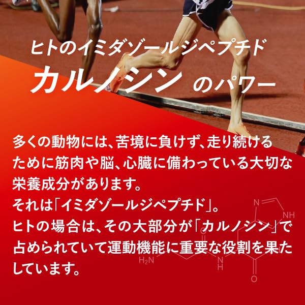 Amazon.co.jp: 【カプセル】カルノパワー DAILY 120粒 カルノシン200mg