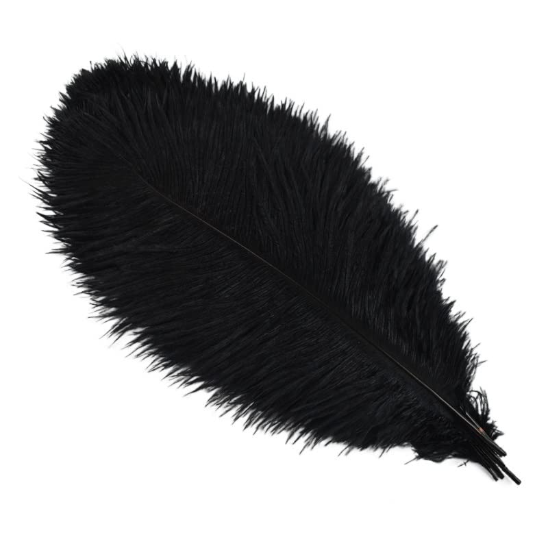 Plumes d'autruche pour vases 30-35cm lot de 10 pièces déco table fête et cosplay noir