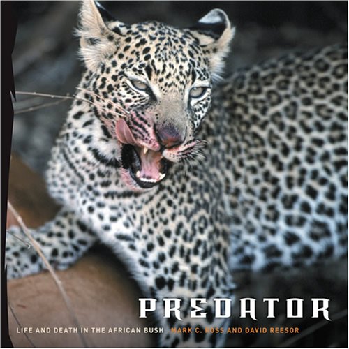 Amazon.com: Predator: Life and Death in the African Bush: Ross, Mark C ...