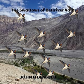 The Swallows of Bellriver Vale cover art