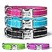 Personalized Nylon Dog Collars with Laser Engraved Name Plate, Buckle Closure, and Reflective Threads
