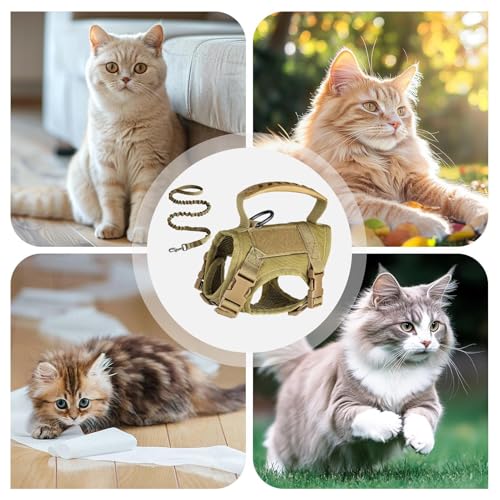 Arnés para gatos antifugas ajustable que elimina tirones y escapes sorpresa 5