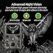 Mini Wildkamera 20MP 1080P HD Wildtierkamera 850nm IR LEDs Wildkamera mit Nachtsicht Bewegungsmelder Nachtsichtkamera IP65 Wasserdicht Jagdkamera mit 32G Speicherkarte und Leser, für Wildbeobachtung