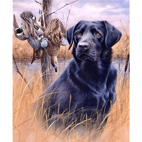 HKFLD 5D Diamond Painting Kits for Adults Black Labrador On The Grass and Two Ducks Full Drill Round Diamond Art 40 * 50CM