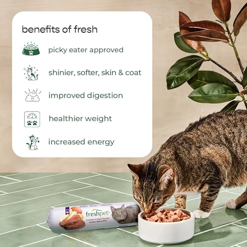 Fresh Pet Select Roasted Refrigerated Meals for Cats Chicken With Carrots and Spinach Recipe, 1 lb - Image 8