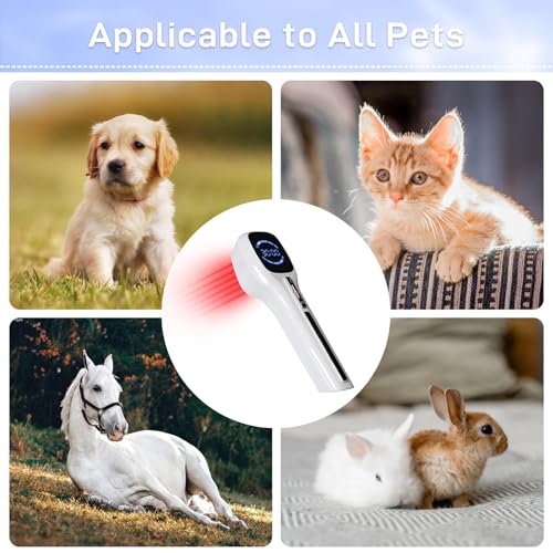 Image of Cold Therapy for Dogs - Infrared Red Light Therapy Device with Adjustable Stand, 4X808 nm &14 x650nm Therapy Device for Pain Relief Arthritis, Spinal and Promote Blood Circulation