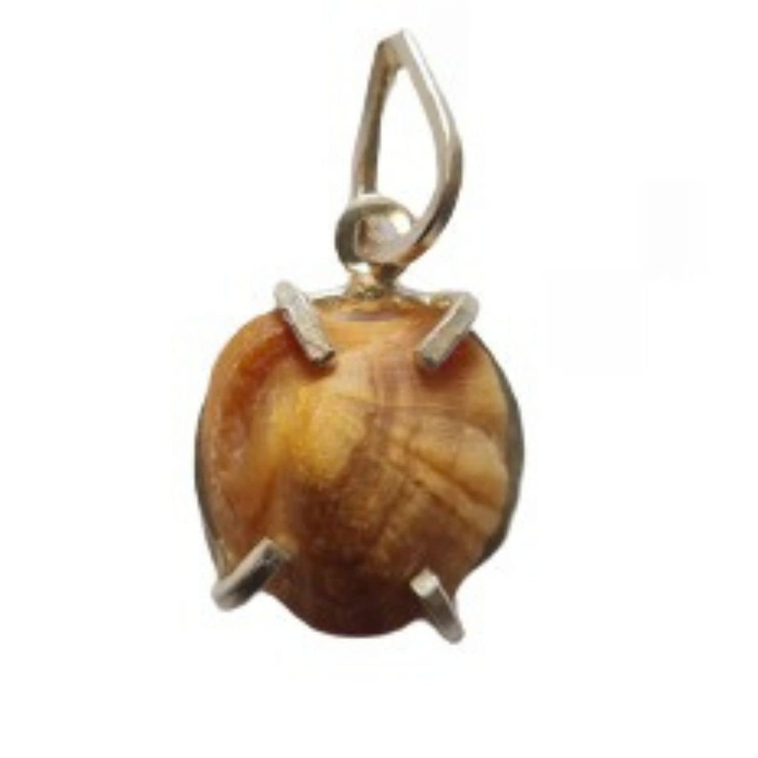 Jyotish Darshan Machh Mani Sea Stone Lab Certified With Pure Silver Pendent | To Reduce and Remove Impact of Rahu, Ketu and Sani | Brown | (Weight Can Differ Due To Natural Occurrence Of Stones) (B0C6XHFWVL) Amazon Price History, Amazon Price Tracker