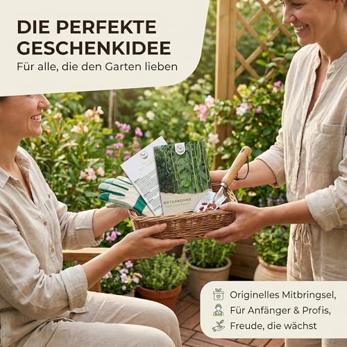 Meterbohne Samen (Vigna unguiculata, 20 Korn) - Spargelbohnen Saatgut ideal für die Anzucht im Garten, Balkon oder Terrasse