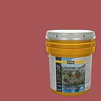 Vista 103 de Rodda Paint CASCADIA ZERO - Pintura satinada e imprimación para interiores en uno, cuarto de galón, toque rosa