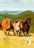  2019-2023 Five Year Planner A4 Wild Horses Goals Monthly Schedule Organizer: 60 Months Calendar; Agenda Appointment Diary Journal With Address Book, ... Notes, Julian Dates & Inspirational Quotes