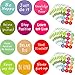 240 Pieces Inspiring Planner Stickers Inspirational Quote Stickers Motivational Encouragement Stickers for Laptop Book Phone Car Luggage Bike (Colorful)