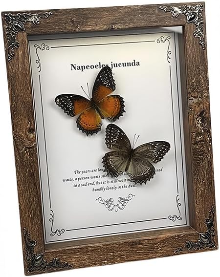 Real Butterfly Framed - Hanging wood grain photo frame, Taxidermy Animals for Oddities and Curiosities Gifts (cethosia biblis+White saw butterfly - Wood Grain Photo Frame)