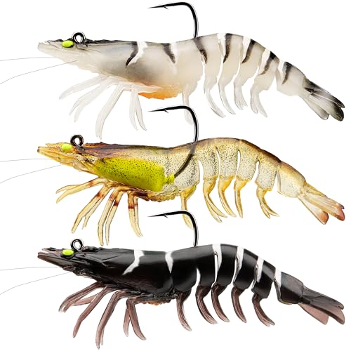 TRUSCEND vOWO [ \tgA[ WECp TPE oXA[ vVI ϋv {GrA[ UKjA[ XCxCg EB[hXA[ gEgENbs[EEH[ACΉ ʓrۊ