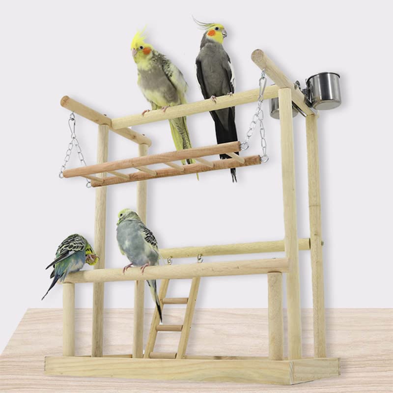 Percha para pájaros Parrot Playstand Bird Playground con Escalera Juguetes Pet Perch Platform y Feeder Cups Life Activity Center
