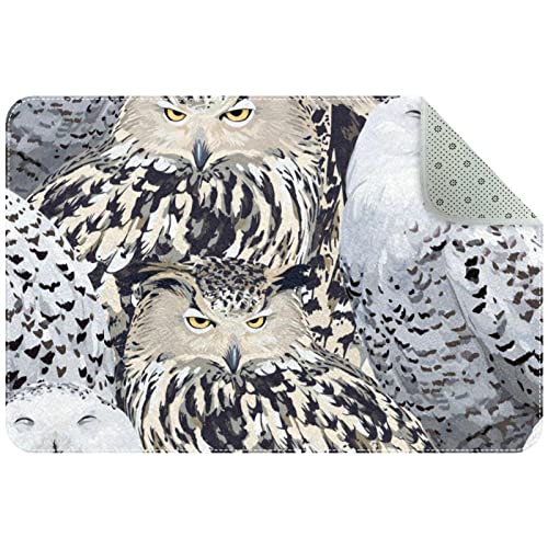 Tapis antidérapant motif aigle hibou et polaire pour salon, chambre à coucher, chambre d'enfant, dortoir, chambre d'enfant, 61 x 40,6 cm