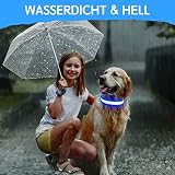 Kpuplol Leuchthalsband Hund, Hundehalsband Leuchtend, Wiederaufladbar Hundehalsband Leuchtend LED Halsband für Hunde Einstellbare Größe, 3 Beleuchtungsmodi für Kleine Mittlere Große Hunde