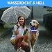 Kpuplol Leuchthalsband Hund, Hundehalsband Leuchtend, Wiederaufladbar Hundehalsband Leuchtend LED Halsband für Hunde Einstellbare Größe, 3 Beleuchtungsmodi für Kleine Mittlere Große Hunde