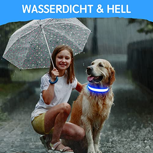 Kpuplol Leuchthalsband Hund, Hundehalsband Leuchtend, Wiederaufladbar Hundehalsband Leuchtend LED Halsband für Hunde Einstellbare Größe, 3 Beleuchtungsmodi für Kleine Mittlere Große Hunde