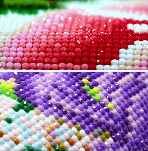 LWOHDKHK Diamant Malerei Kits, DIY 5D Diamond Painting Set, süßer Hund im Schuh Yorkshire Terrier Malen nach Zahlen Diamant, Diamant Painting Arts Craft für Home Wand-Decor