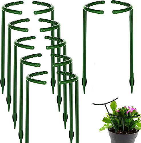 6 Gabbie Per Pomodori Regolabili – Supporto Per Piante Rampicanti – Altezza Max 121,9 Cm – 54 Pioli
