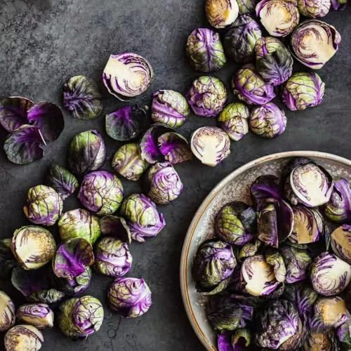 Semillas resistentes de coles de Bruselas balcón resistentes, semillas saladas, balcón bonsai 50pcs