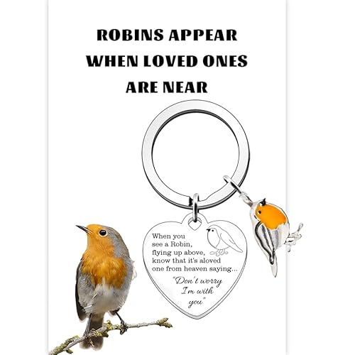 Huipalon Robin Memorial Gift Sympathy Gift Robin Charm Keyri