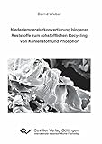  Niedertemperaturkonvertierung biogener Reststoffe zum rohstofflichen Recycling von Kohlenstoff und Phosphor