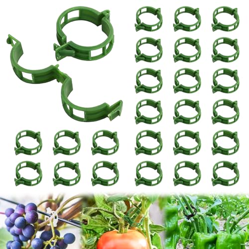 100 Stück Pflanzenclips Kunststoff Pflanzenklammern für Kletterpflanzen, 2025 Wiederverwendbare Pflanzenklammern für Tomaten, Trauben, Reben, Gurken, Gartenklammern Innen Außeneinsatz (100, Grün) 100 Stück Pflanzenclips Kunststoff Pflanzenklammern für Kletterpflanzen, 2025 Wiederverwendbare Pflanzenklammern für Tomaten, Trauben, Reben, Gurken, Gartenklammern Innen Außeneinsatz (100, Grün)