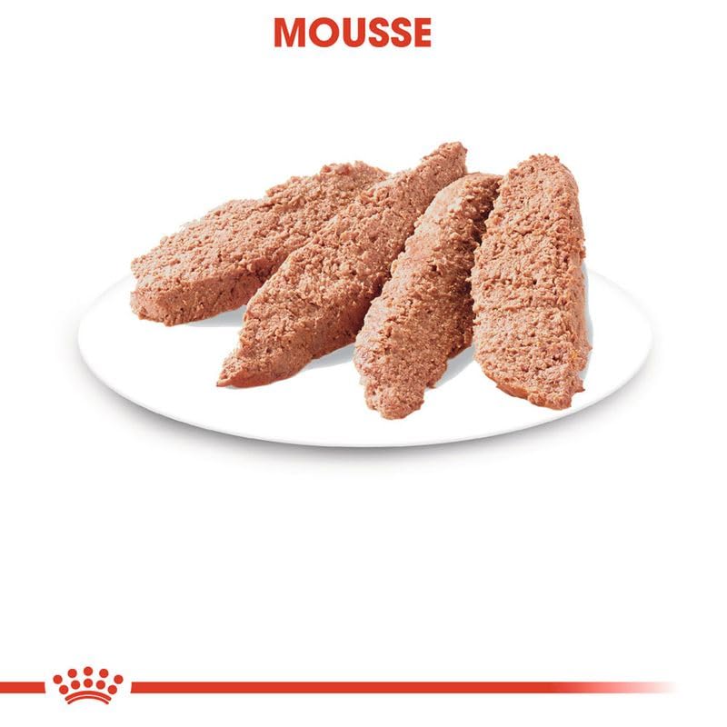 Royal Canin Sterilised Natvoer in gelei voor kat