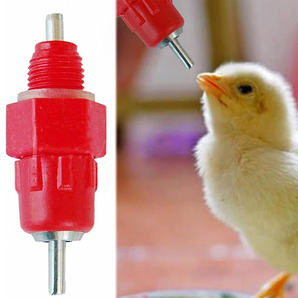 Bebedero automático para aves y gallinas, 10 unidades