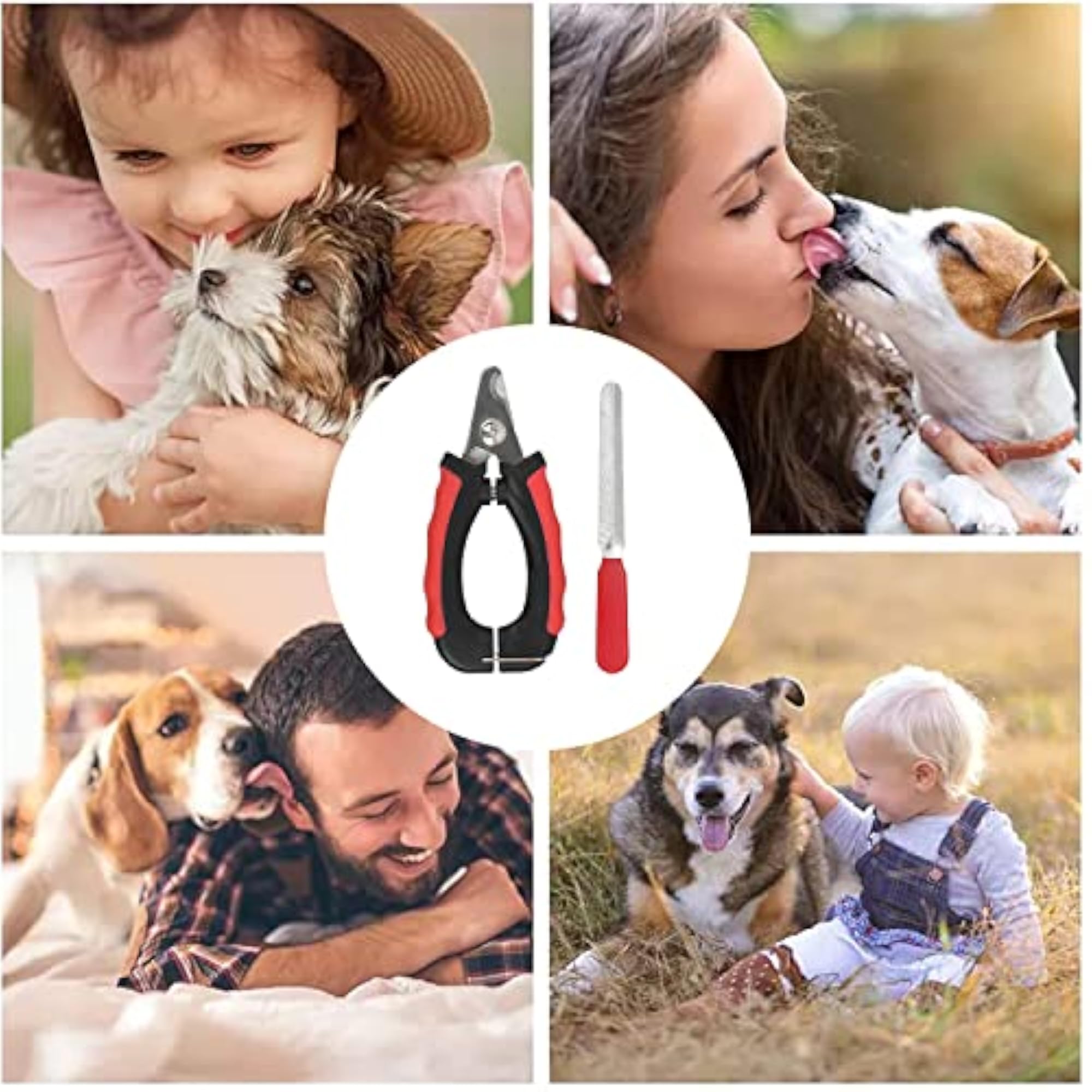 Dog Nail Cutter and Clipper for Small to Large Pets