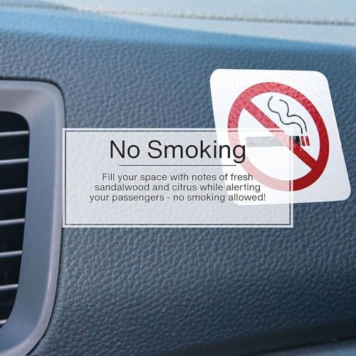 Image of Little Trees Car Air Freshener 6-Pack (NO Smoking)
