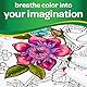 CRAYOLA - Super Tips, Medium Point Washable Marker, 12er-Pack, für Schule und Freizeit, sortierte Farben, ab 3 Jahren, 7509