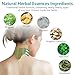 Lefeke Mugwort Cervical Neck Patch,Transdermal Herbal Heat Patch, Long-Lasting Relief for Muscle, Joint, and Neck Muscle Tension, Stiffness, Strain, and Discomfort – 12 Pieces