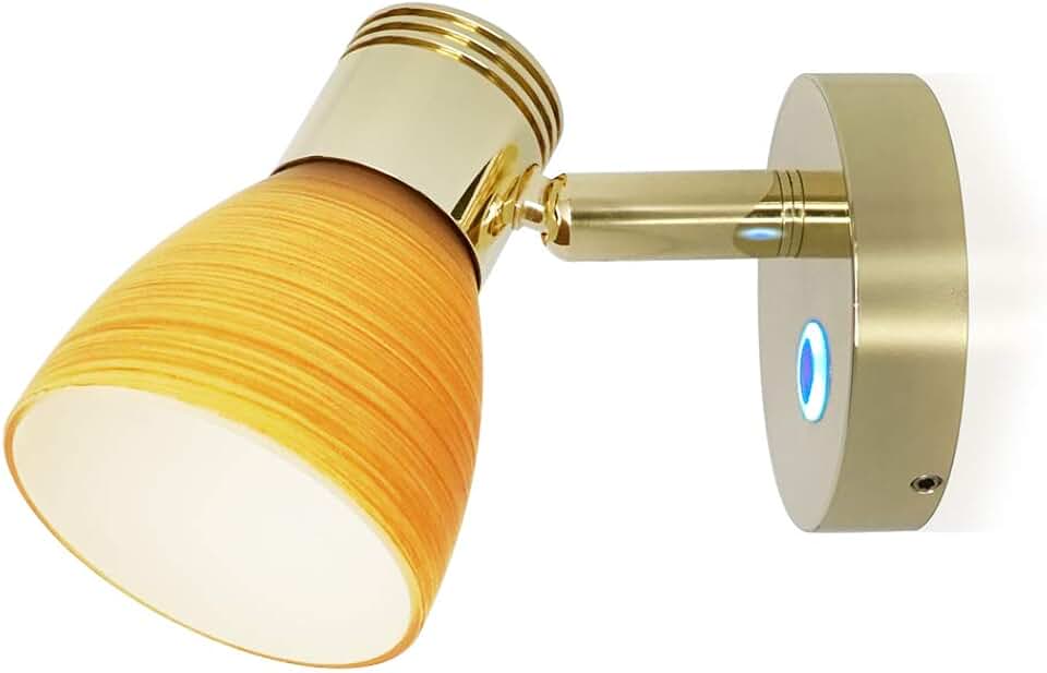 Amazon.com: 12 Volt Rv Interior Light Fixtures