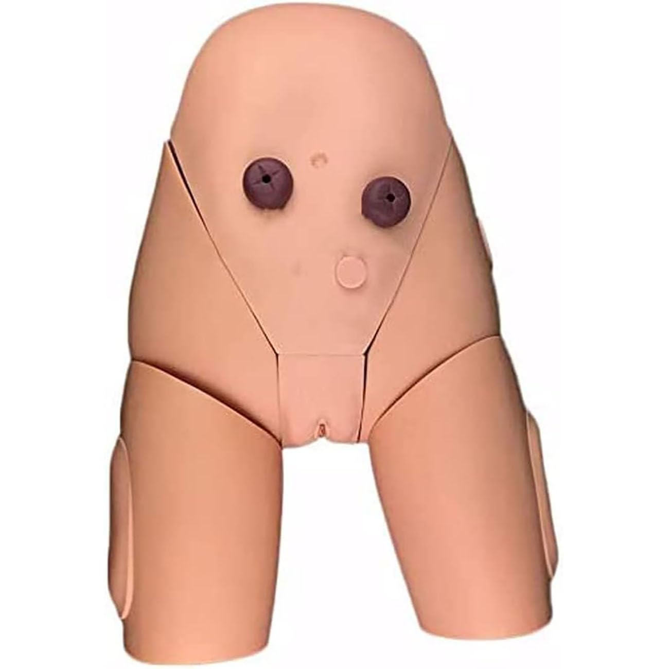 Modèle De Cathétérisme Interchangeable Homme-Femme, Moule pour l'enseignement du Cathétérisme, Formation Au Cathétérisme pour La Pratique Médicale