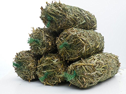Moonfern Barley-Straw Logs 6 pack