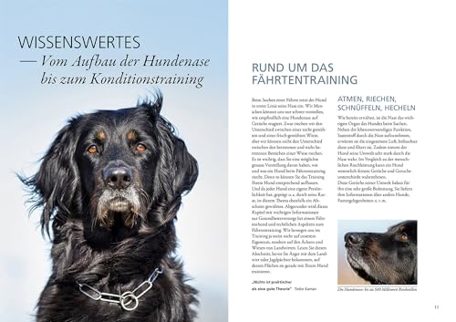 Trainingsbuch Fährtenarbeit: Vom ersten Suchfeld bis zur erfolgreichen Prüfung (Praxiswissen Hund)