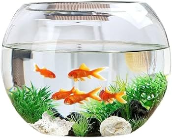 Amazon | ガラス水槽 透明水槽 リビング用ボール水槽 小型金魚水槽 大