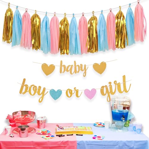 Image of Gender Reveal Decorations with Baby Banner and Boy or Girl Sign 17pcs