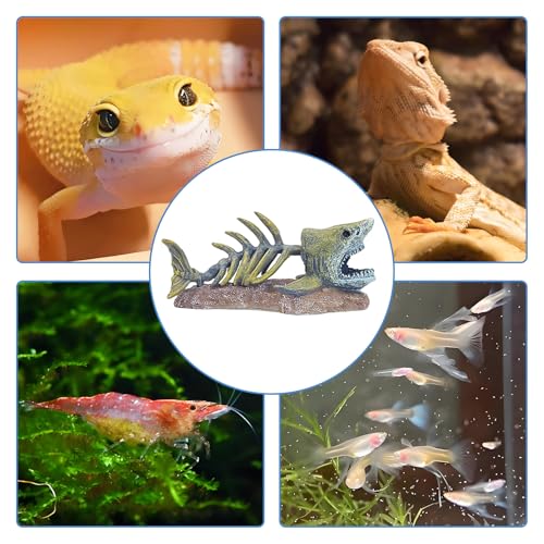 Image of kathson Fish Tank Decorations Resin Shark Skeleton Aquarium Decor Reptile Tank Accessories Ornament Fish Bone Hideout for Shrimp Lizards Geckos Spiders