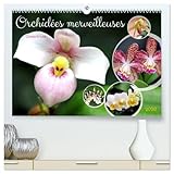  Orchidées merveilleuses (Calendrier mural 2026 DIN A2 vertical) calendrier de bureau: Des fleurs fascinantes d\'une grande diversité