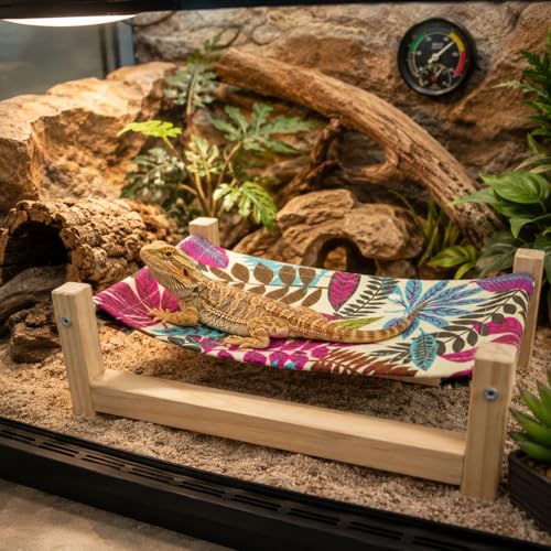 HSIFMATE Bearded Dragon Bed Wooden Reptile Hammock Hanging Sleeping Lounger Safe Natural Wood Resting Place for Lizard Leopard Gecko Snake and Other Small Animals((Colorful Medium)