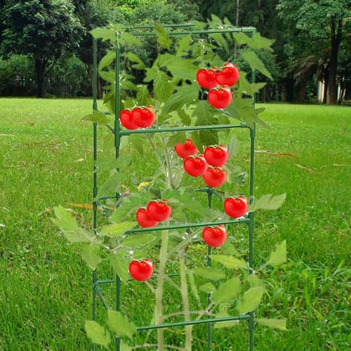 Jaula para tomates y tutor de pepinos ajustable para verduras en bancal elevado 3