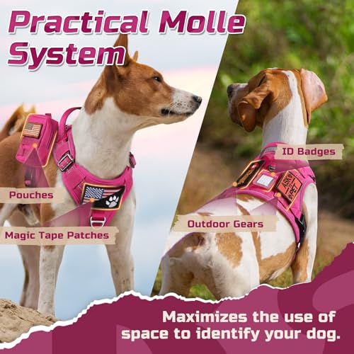 rabbitgoo Tactical Dog Harness Medium Sized Dog, No Pull Military Service Vest with Handle & Molle, Easy Control for Training Walking, Adjustable Reflective Straps, Rose Red, M by rabbitgoo - Image 3