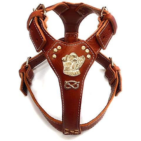 Harnais M&D en cuir bullterrier Cover